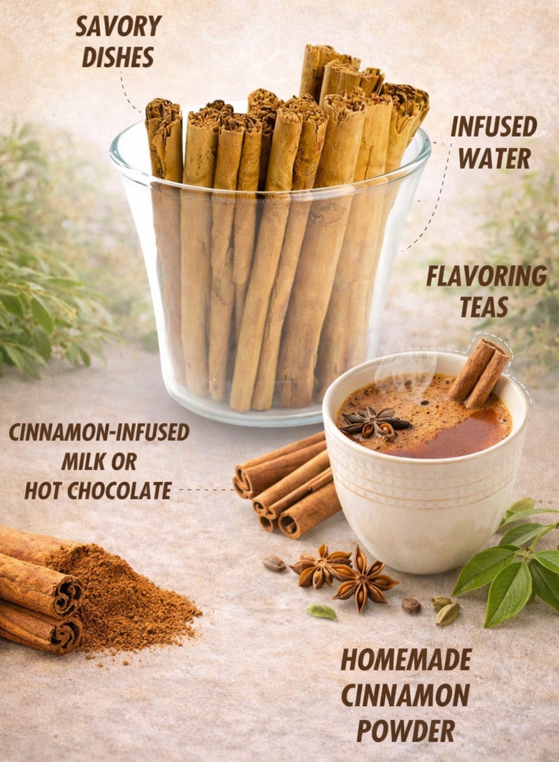 زهر أعواد القرفة السيلانية (قرفة سيلانية) – Cinnamomum verum | لحاء قرفة مجفف طبيعياً تحت أشعة الشمس بنسبة 100% | مادة نباتية فاخرة للاستخدام في البستنة والزراعة ومشاريع الأعشاب والاستخدامات الزخرفية والعطرية. - Image 5